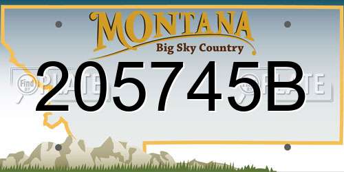 205745B Montana License Plate