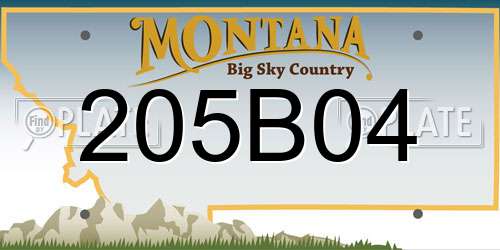 205B04 Montana License Plate