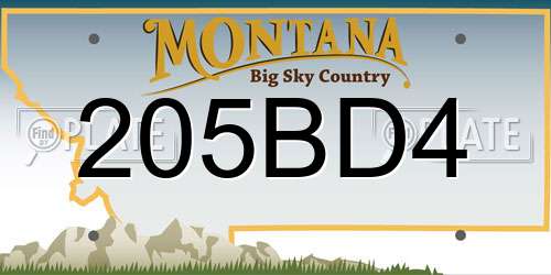 205BD4 Montana License Plate