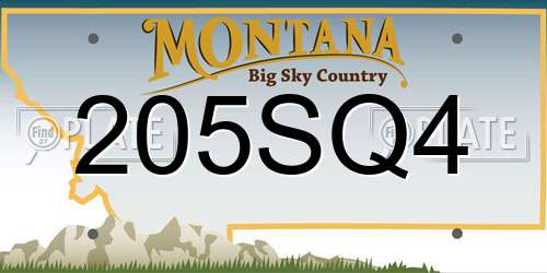 205SQ4 Montana License Plate