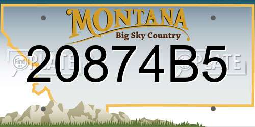 20874B5 Montana License Plate
