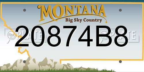 20874B8 Montana License Plate
