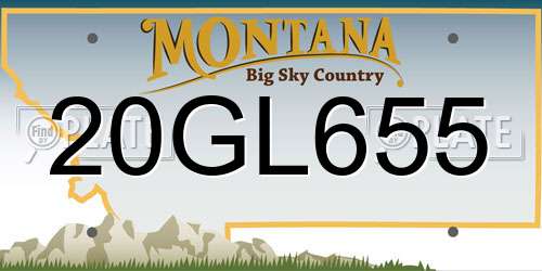 20GL655 Montana License Plate