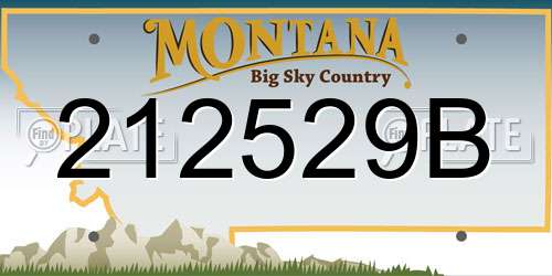 212529B Montana License Plate