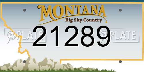 21289 Montana License Plate