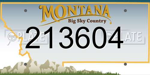 213604 Montana License Plate