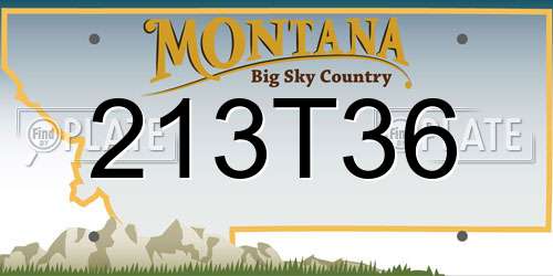 213T36 Montana License Plate