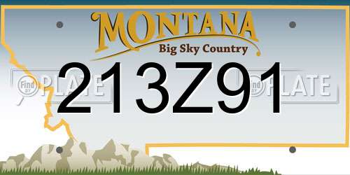 213Z91 Montana License Plate