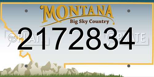 2172834 Montana License Plate