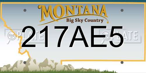 217AE5 Montana License Plate