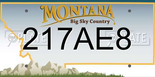 217AE8 Montana License Plate