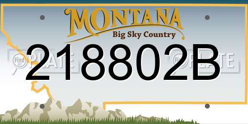 218802B Montana License Plate