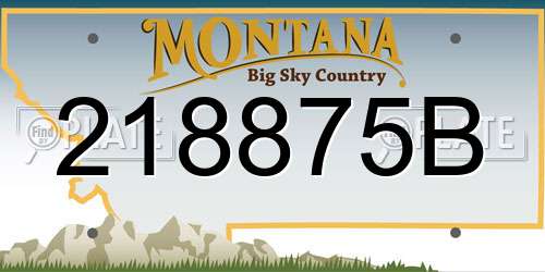 218875B Montana License Plate