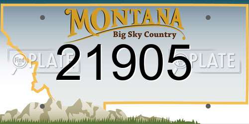 21905 Montana License Plate