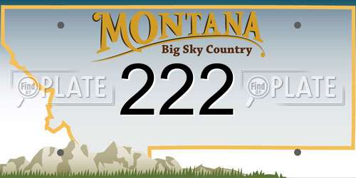 222 Montana License Plate