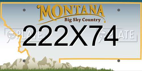 222X74 Montana License Plate