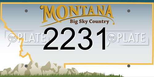 2231 Montana License Plate