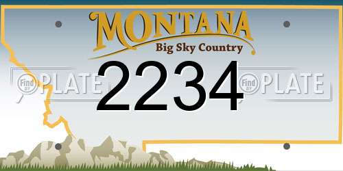 2234 Montana License Plate
