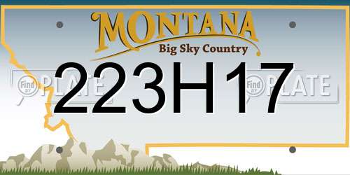 223H17 Montana License Plate