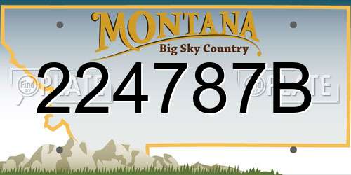 224787B Montana License Plate