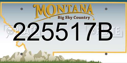 225517B Montana License Plate