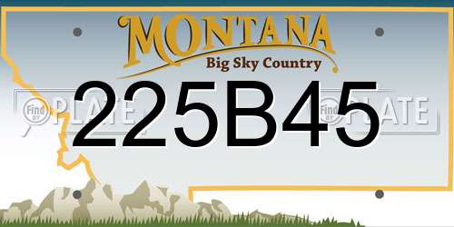 225B45 Montana License Plate