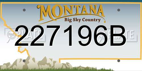 227196B Montana License Plate