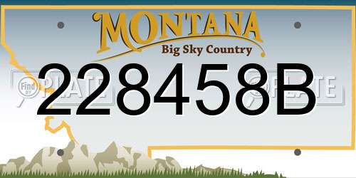 228458B Montana License Plate