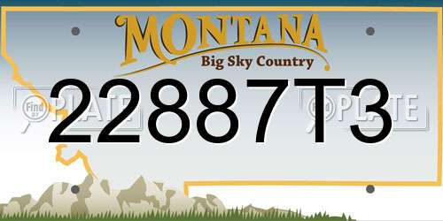 22887T3 Montana License Plate