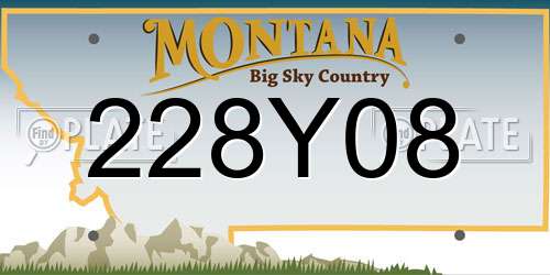 228Y08 Montana License Plate