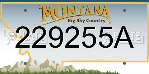229255A Montana License Plate