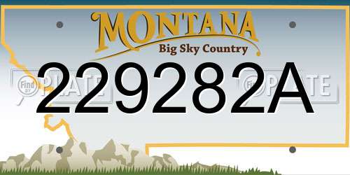 229282A Montana License Plate