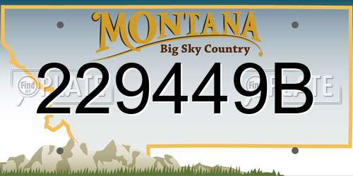 229449B Montana License Plate