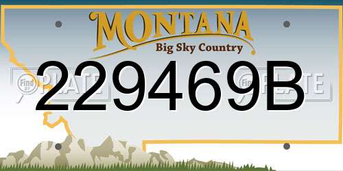 229469B Montana License Plate