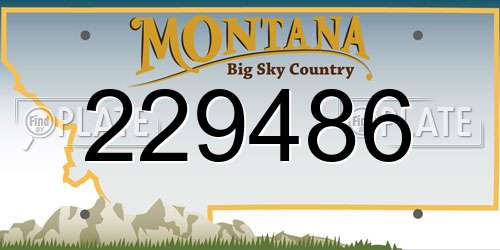 229486 Montana License Plate