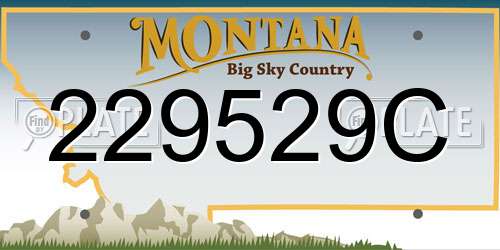 229529C Montana License Plate