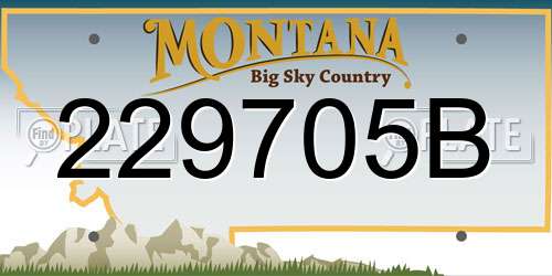 229705B Montana License Plate