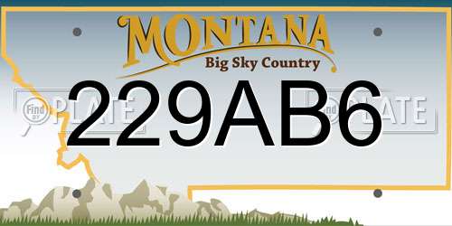 229AB6 Montana License Plate