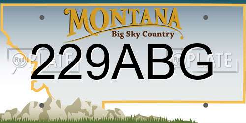 229ABG Montana License Plate