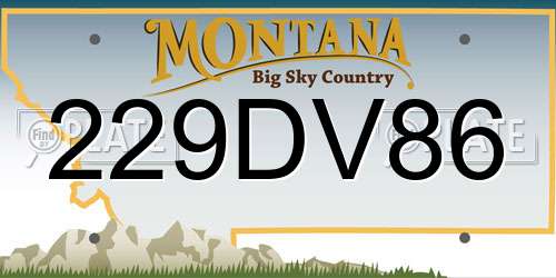 229DV86 Montana License Plate