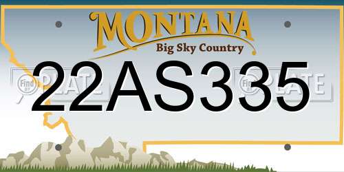 22AS335 Montana License Plate