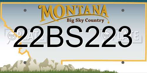 22BS223 Montana License Plate