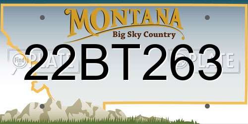 22BT263 Montana License Plate
