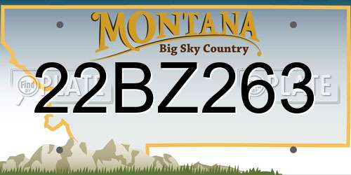 22BZ263 Montana License Plate