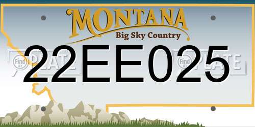22EE025 Montana License Plate