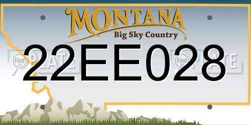 22EE028 Montana License Plate