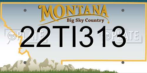 22TI313 Montana License Plate