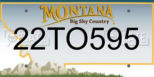 22TO595 Montana License Plate