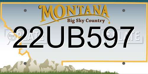 22UB597 Montana License Plate