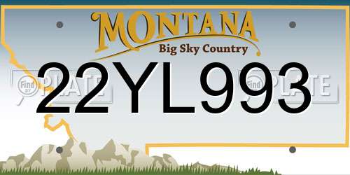 22YL993 Montana License Plate